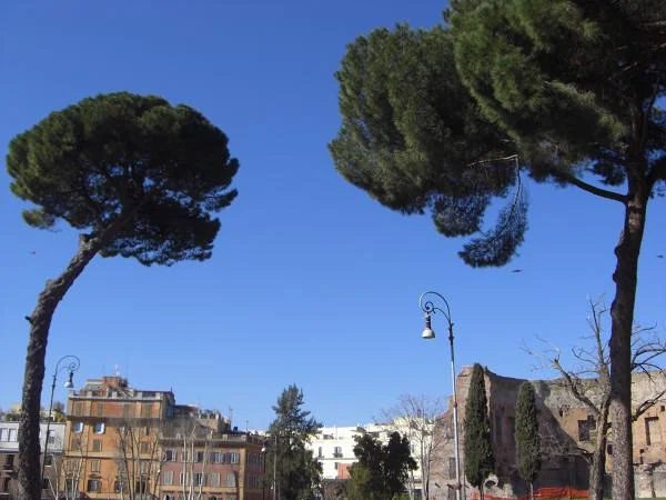 A quelques pas du centre historique A quelques pas du centre historique — Rome (Italie)