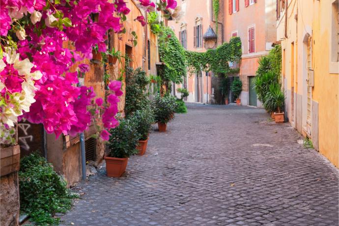 Fleurs et pav&eacute;s de Trastevere