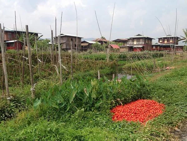 Lac Inle — Kalaw (Myanmar)