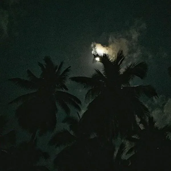 Nuit sous la lune Nuit sous la lune — Koh Tao (Thaïlande)
