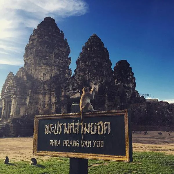 Temple des singes Temple des singes — Lop Buri (Thaïlande)