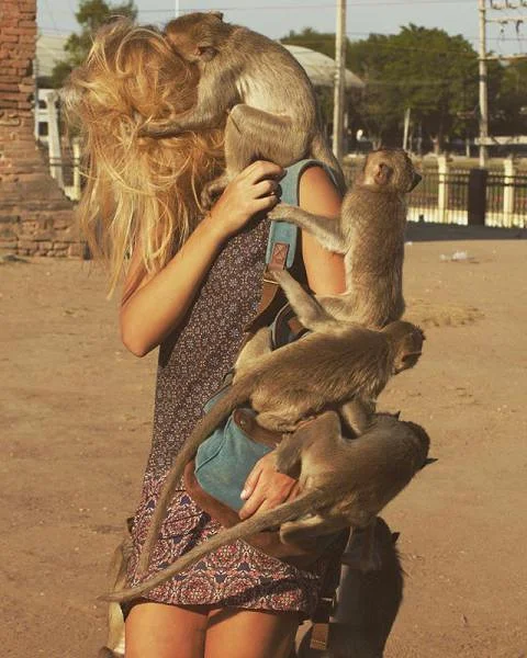 Nouveaux amis Nouveaux amis — Lop Buri (Thaïlande)