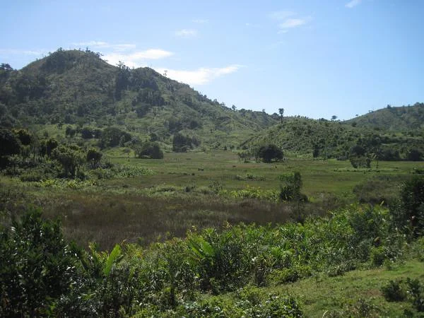 Chemin du camp (Madagascar)