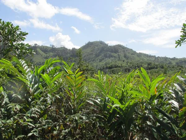 Chemin du camp (Madagascar)