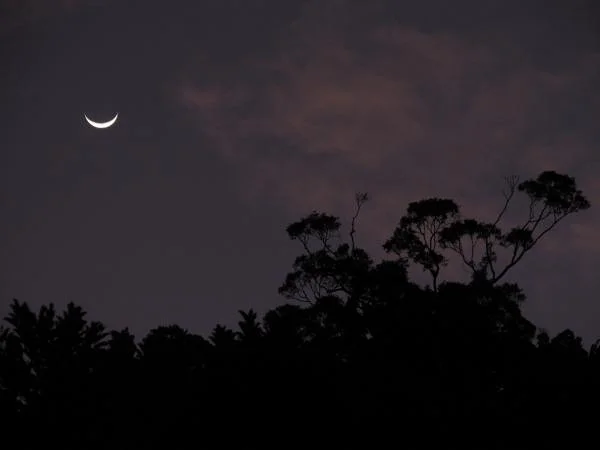 Ombre lunaire (Madagascar)