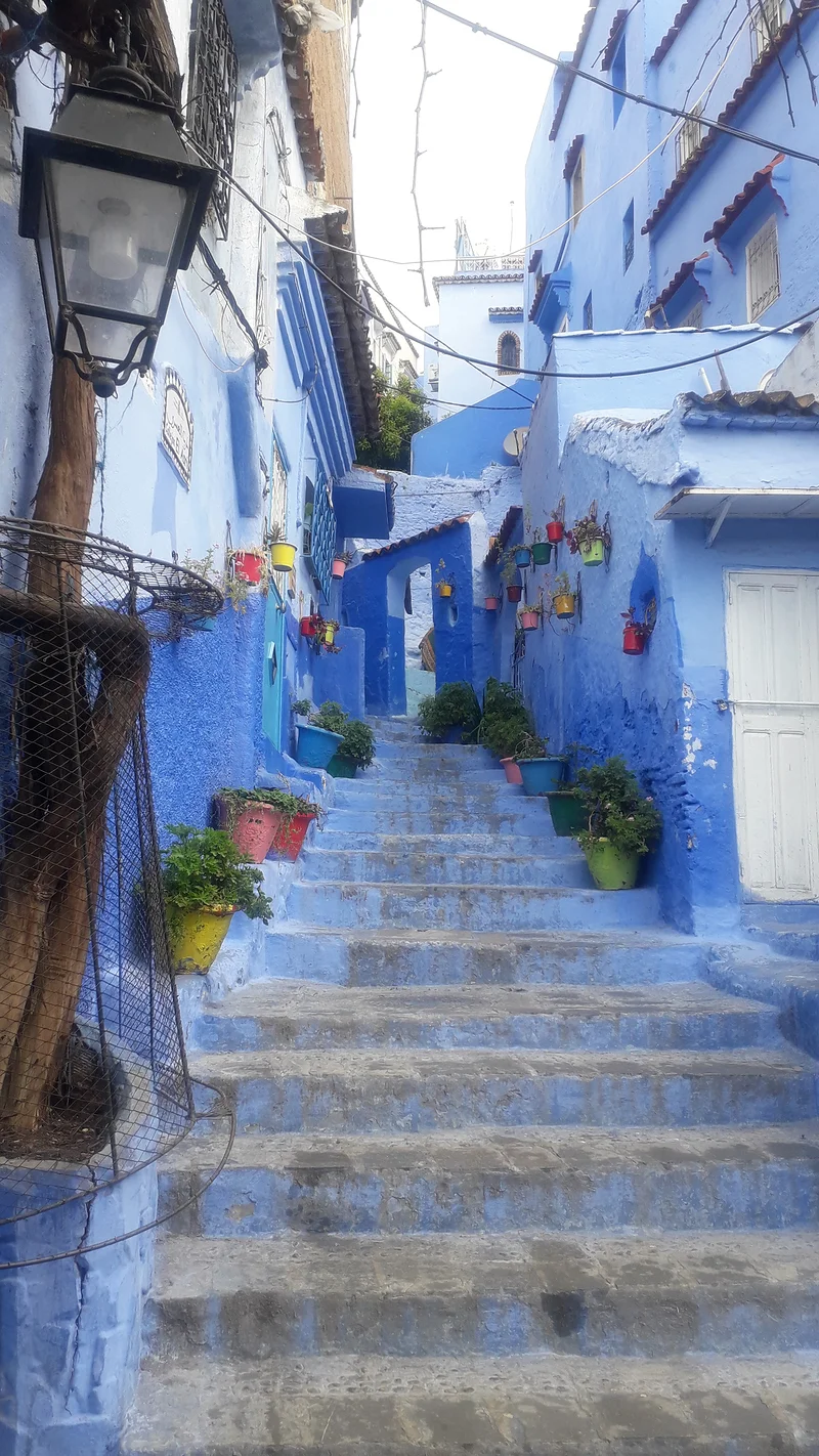 IMG 20220412 WA0034 (Maroc)