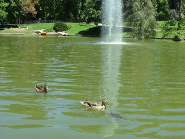Parque del Retiro — Parc El Retiro (Espagne)