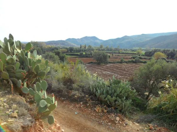 Sur la route Sur la route (Maroc)
