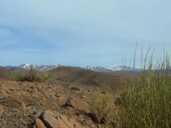 Sur la route Sur la route (Maroc)