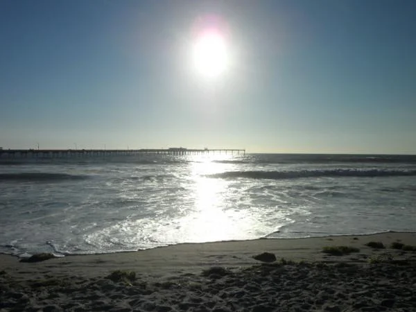 Ocean Beach — Ocean Beach Park (Etats-Unis)