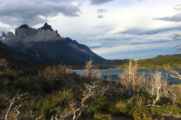 1er jour 1er jour — Parc national Torres del Paine (Chili)