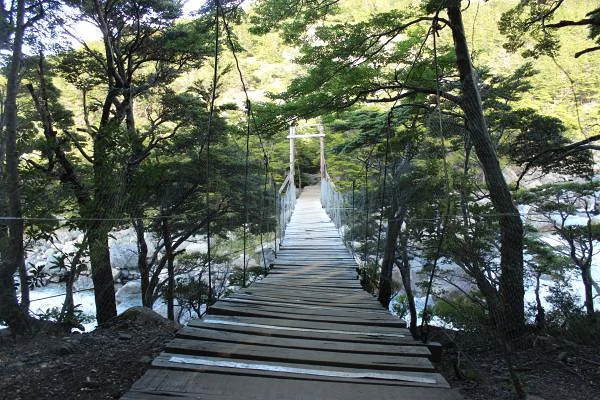 Un des nombreux torrents Un des nombreux torrents — Parc national Torres del Paine (Chili)