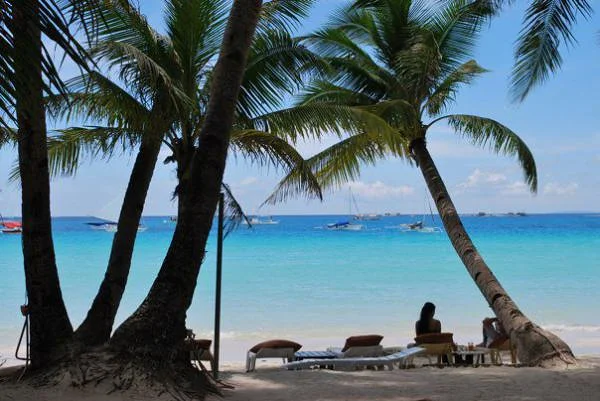 Palmiers — Boracay (Philippines)