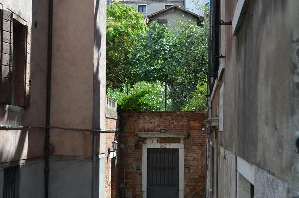 Un jardin — Venise (Italie)