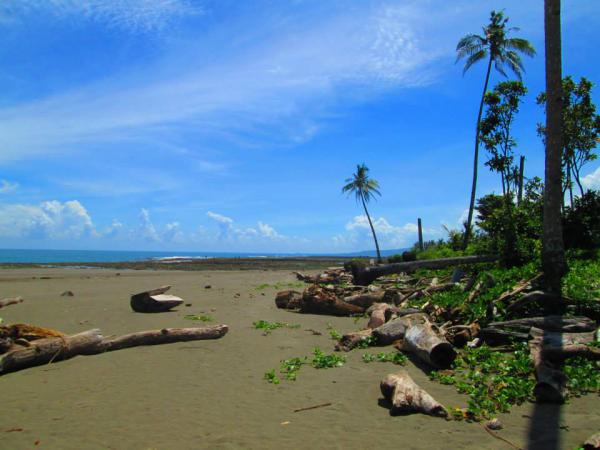 plage