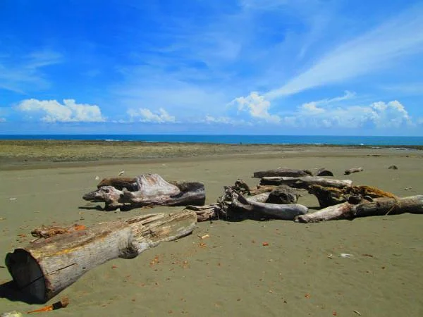 plage (Philippines)