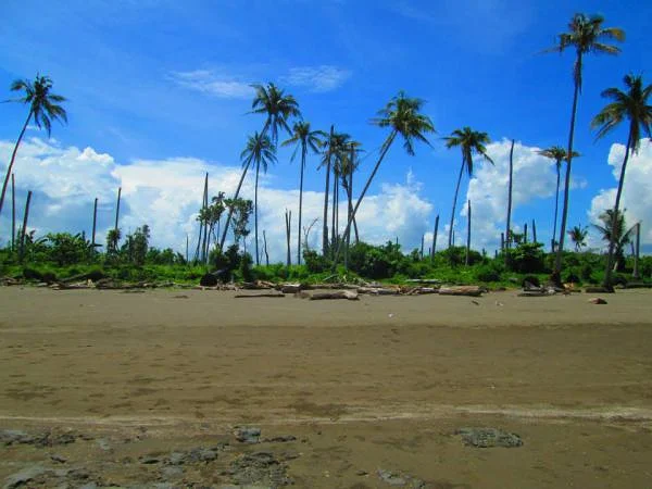 plage (Philippines)