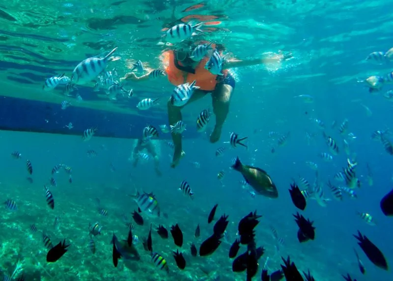 sous l'eau (Philippines)