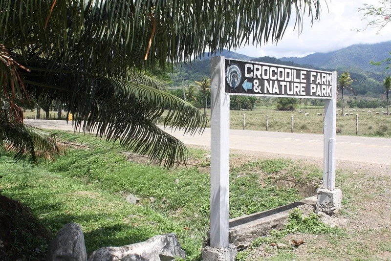 ferme de crocodiles (Philippines)