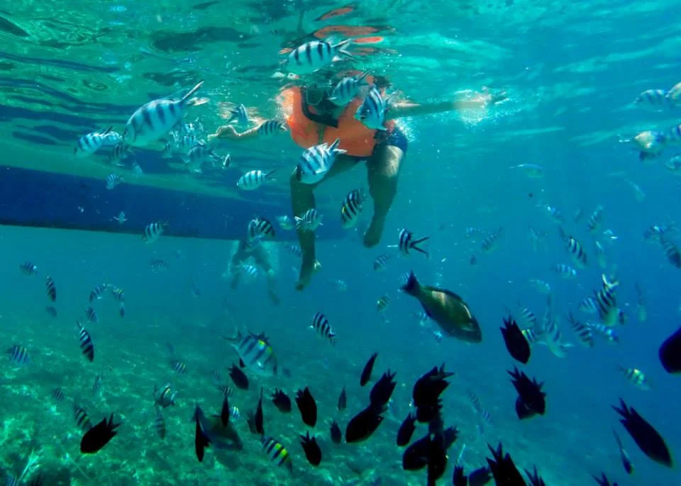 sous l'eau (Philippines)