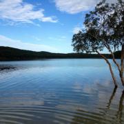 Noosa Heads
