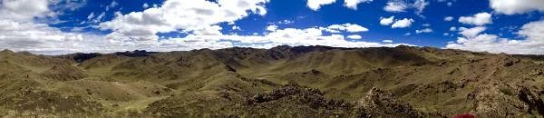 Gobi