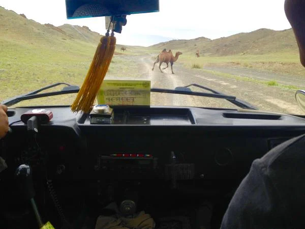 Gobi (Mongolie)