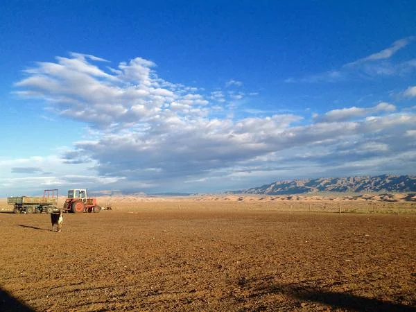 Gobi (Mongolie)