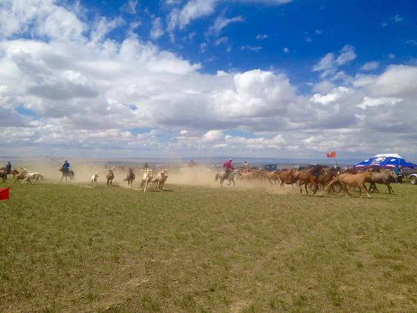 Tournoi (Mongolie)