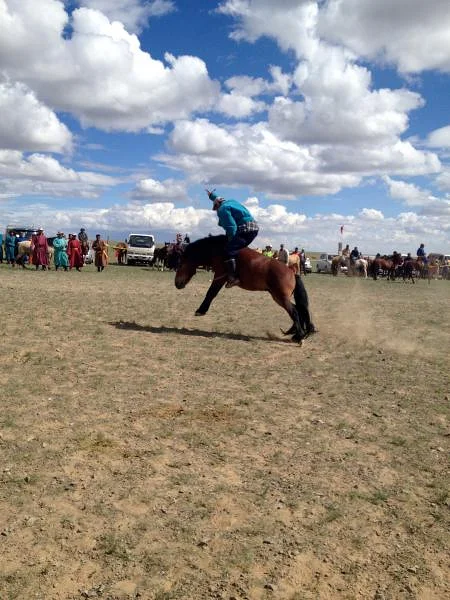 Tournoi (Mongolie)