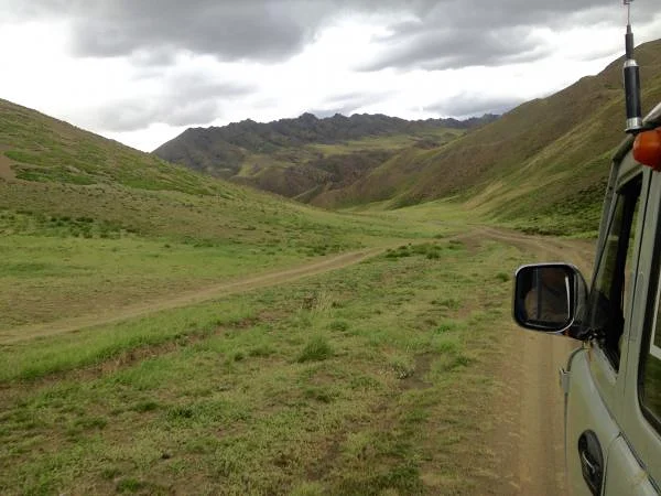 Gobi (Mongolie)