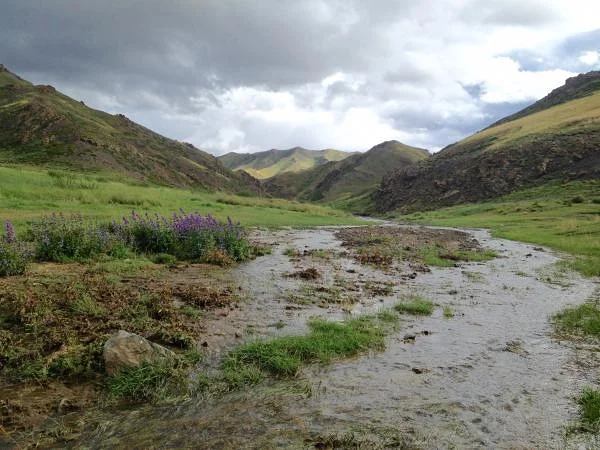 Gobi (Mongolie)