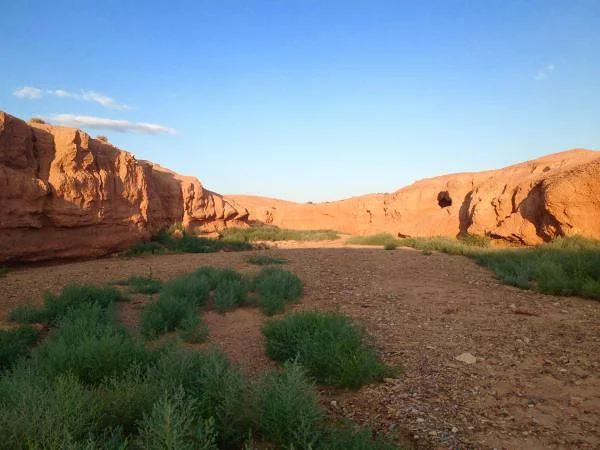 Gobi (Mongolie)