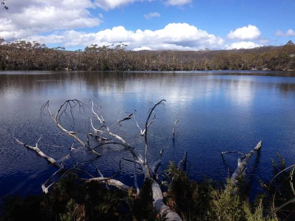 Lac (Australie)