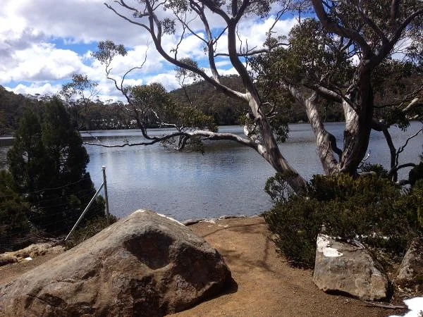 Bordure de lac (Australie)