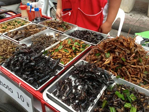 Insectes et scorpions — Bangkok (Thaïlande)