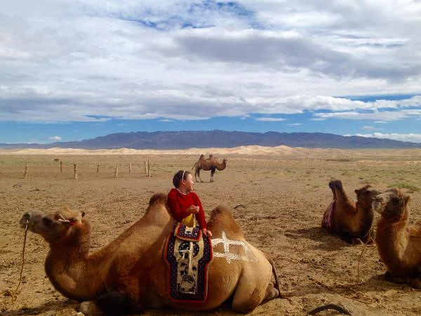 Gobi (Mongolie)