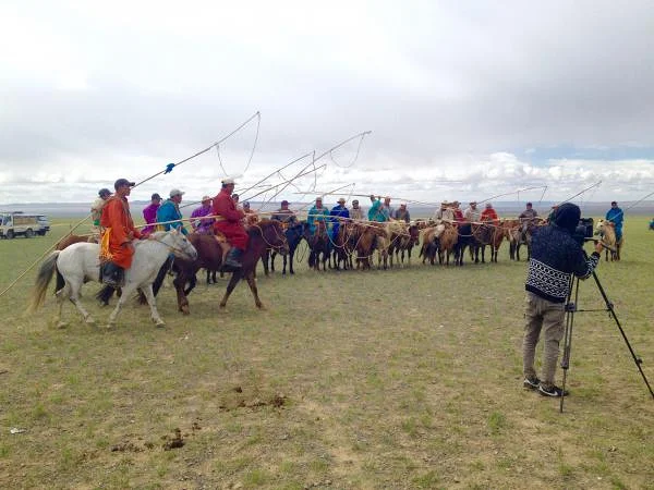 Tournoi (Mongolie)