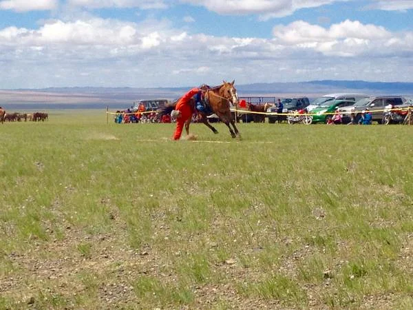 Tournoi (Mongolie)
