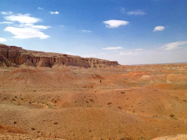 Gobi (Mongolie)
