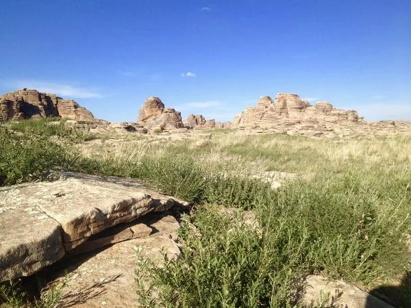 Gobi
