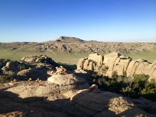 Gobi
