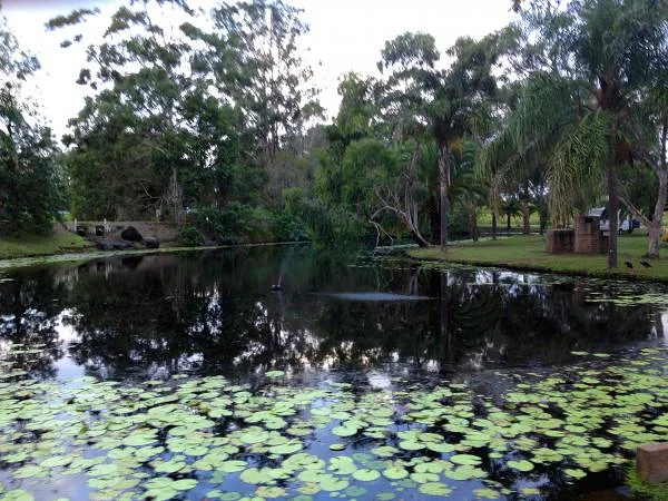 Etang de Noosa — Parc national de Noosa (Australie)