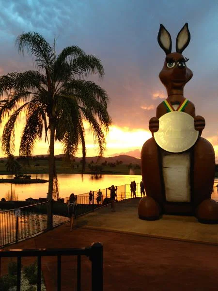 Kangourou géant — Noosaville (Australie)