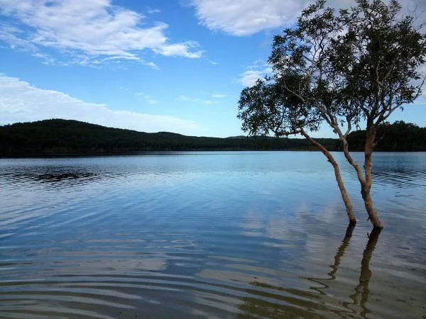 Lac de Noosa