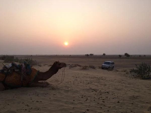 Excursion dans le désert Excursion dans le désert — Jaisalmer (Inde)