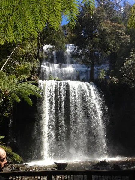 Cascades de Mt Field NP Cascades de Mt Field NP — Parc national de Mount Field (Australie)