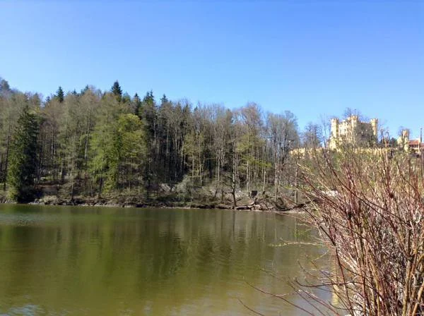 Schloss Neuschwanstein