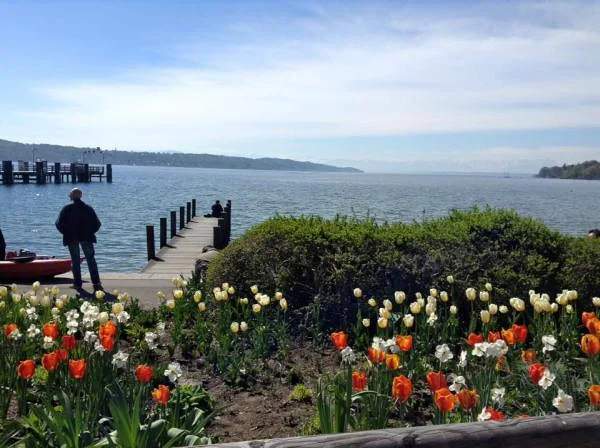 ou Lac de Starnberg — Bernried (lac de Starnberg) (Allemagne)