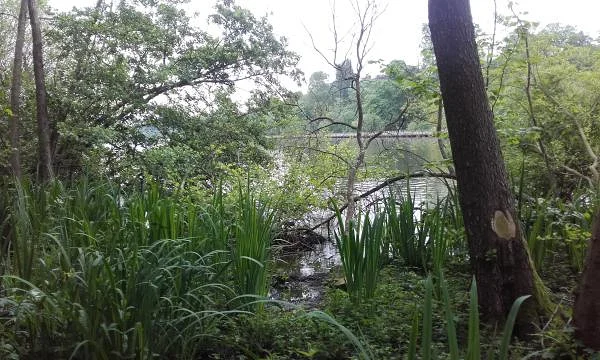 Parc — Nantes (France)